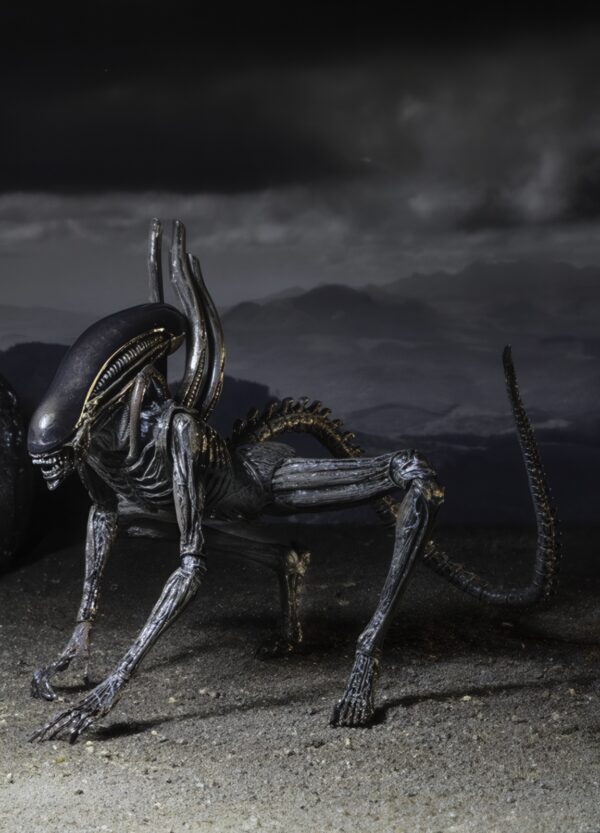 Figurka Xenomorpha z filmu „Obcy” 18 cm, kolekcjonerska figurka akcji - obrazek 6