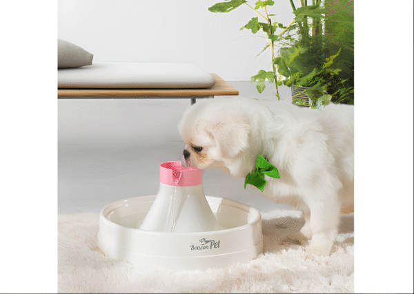 Poidło fontanna dla kotów i psów Beacon Pet 3L z filtracją i cyrkulacją wody - obrazek 5
