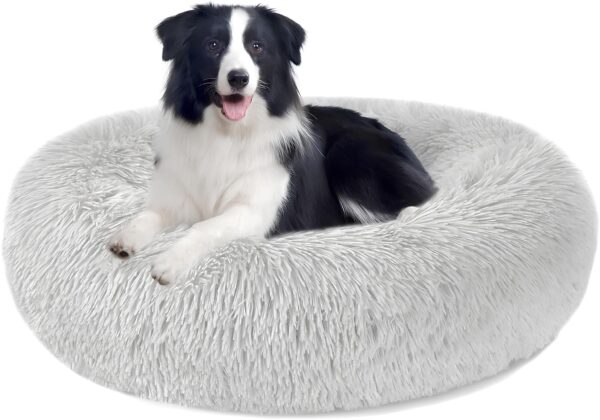 Poduszka dla psa Puppy Love, szerokość 100 cm, jasnoszara - obrazek 2