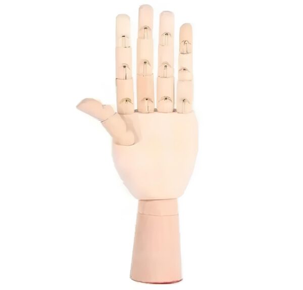 Drewniana ręka manekin 18 cm do rysowania model anatomiczny dla artystów i dekoracyjny element wnętrza - obrazek 4
